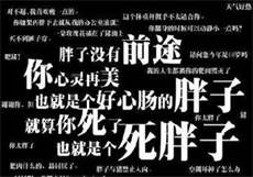 电影空降到底讲的什么
